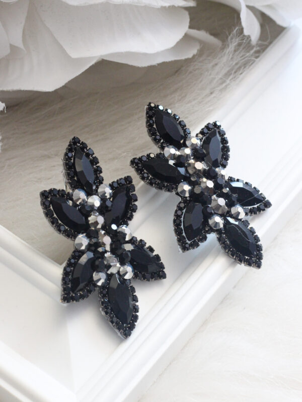 Earrings 952