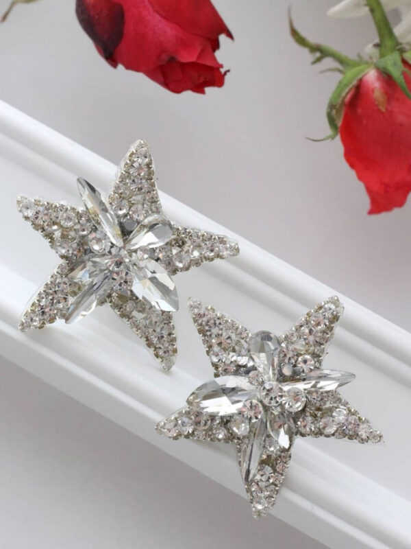 Earrings 983