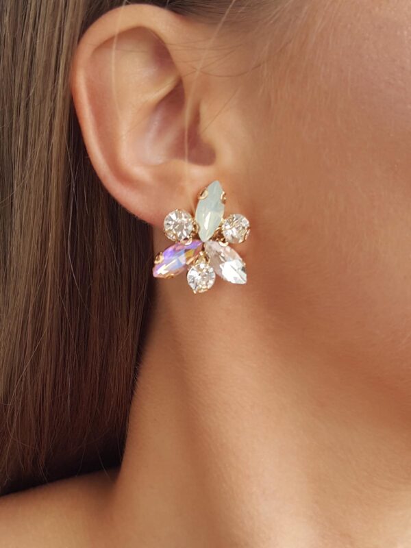 Earrings Discrete 252