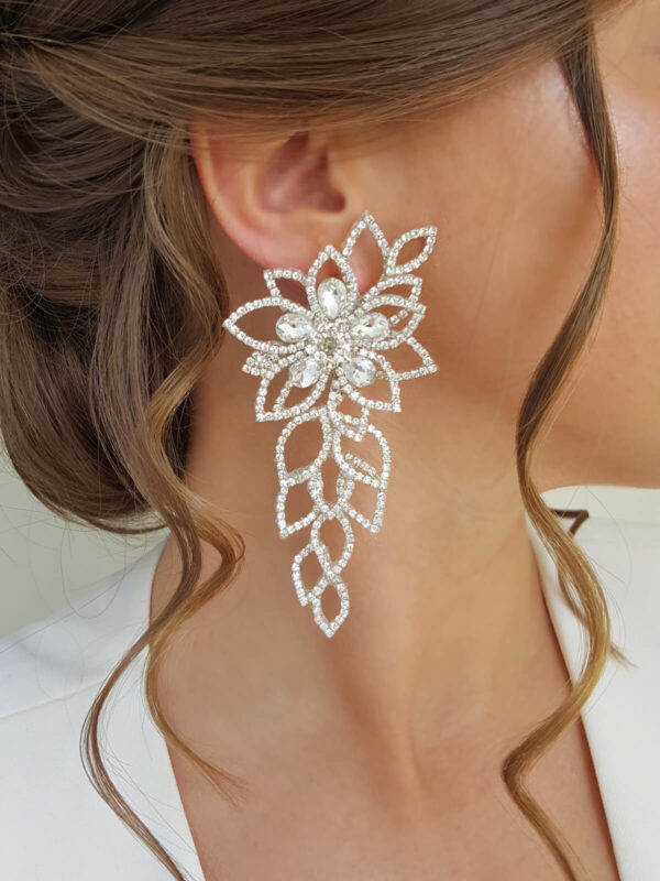 Earrings Limited 121