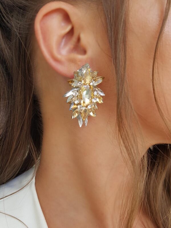 Earrings Weddig 273