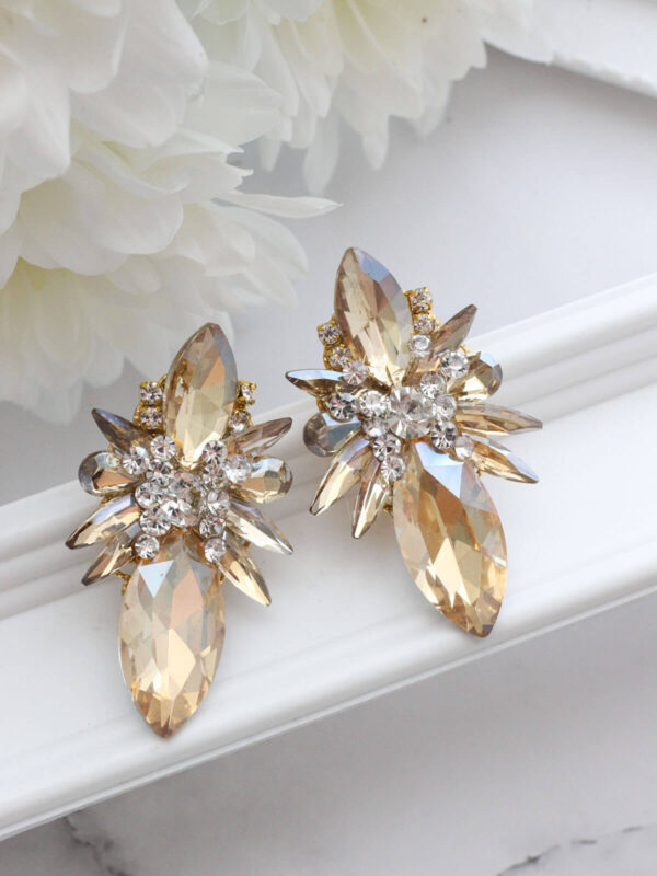 Earrings Wedding 66