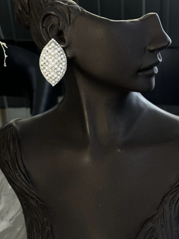 earrings e2539