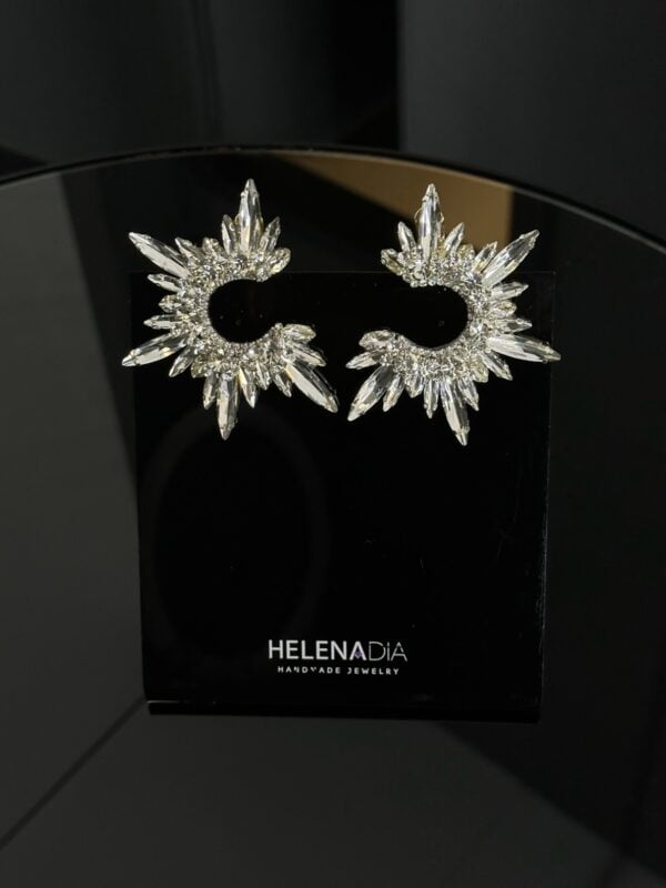 earrings e2547