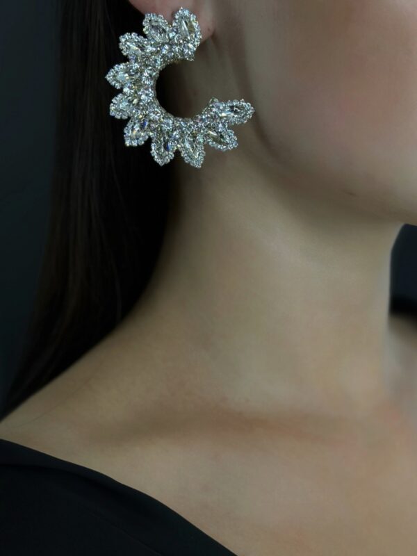 earrings e2562
