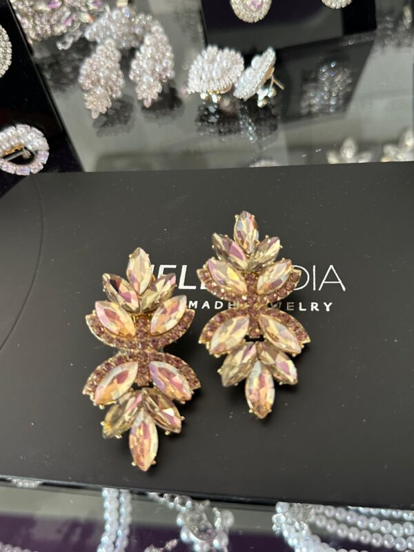 earrings e2573