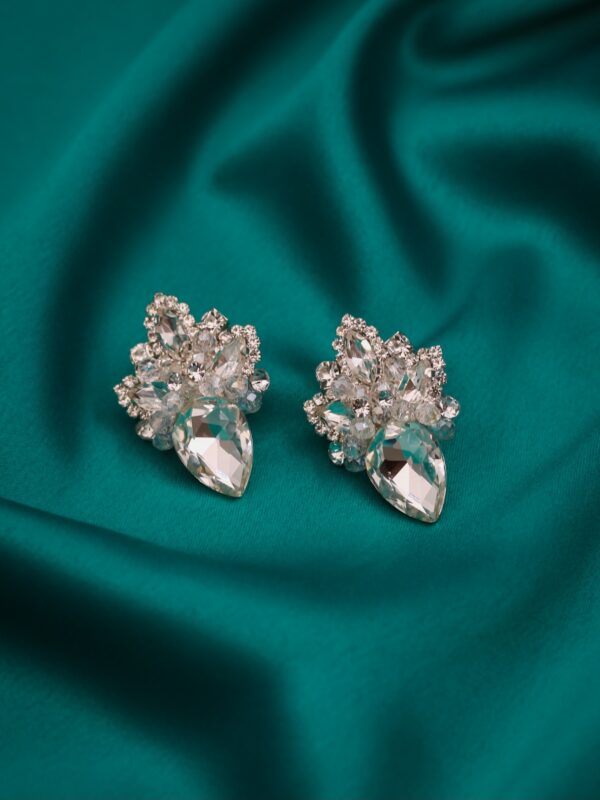 earrings e2578 2