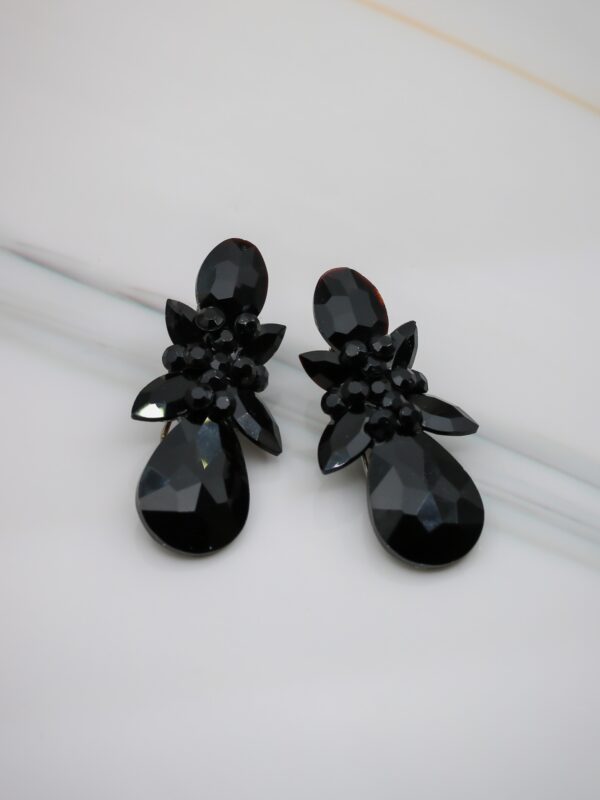 earrings e2584