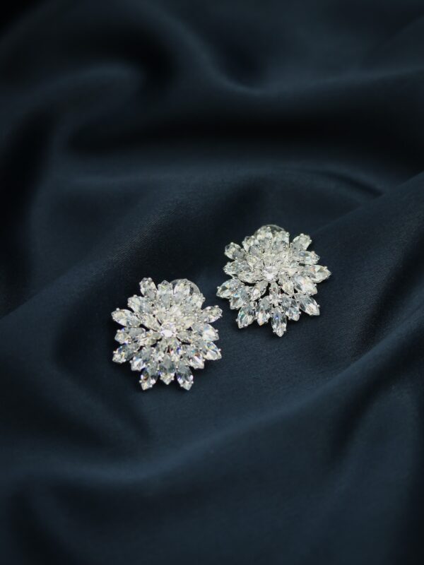 earrings e2606
