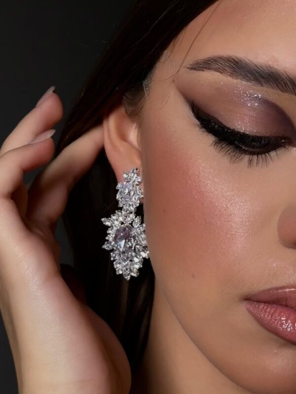 earrings e2634