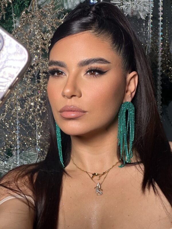 earrings e2642