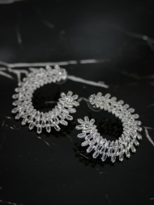 earrings e2645
