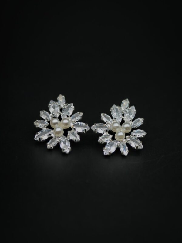 earrings e2646