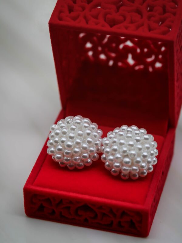 earrings e2659